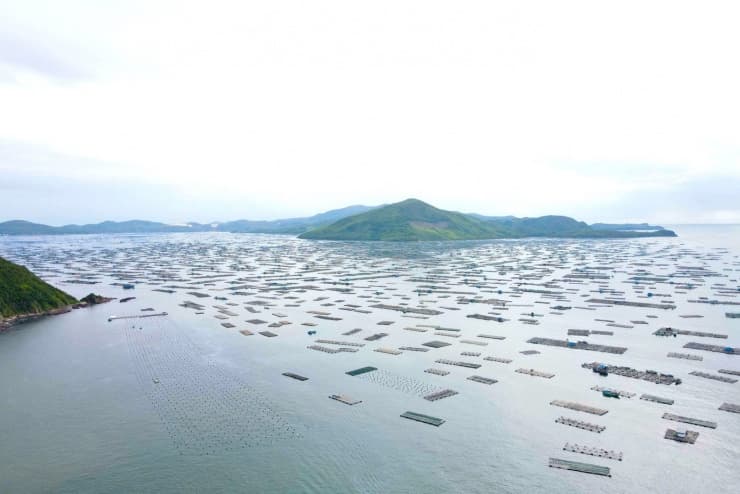 Chạy bão miền Trung, gia cố nhà cửa